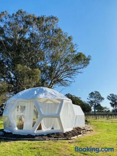 Coonawarra Hampton Bubble 2 - Image 1