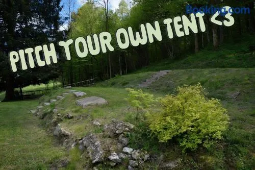 Grajski kamp - pitch your own tent - Image 1