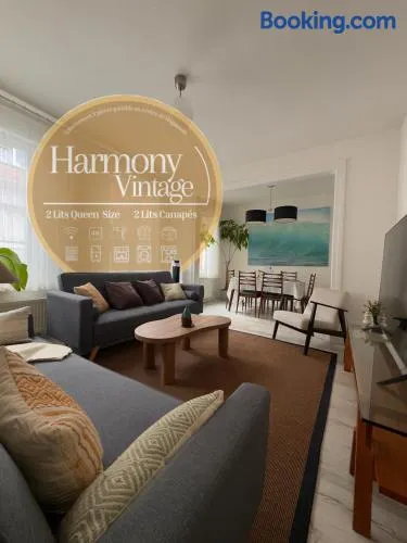 Harmony vintage - Quartier calme - Centre-ville Haguenau - Gare 3 min - Image 1
