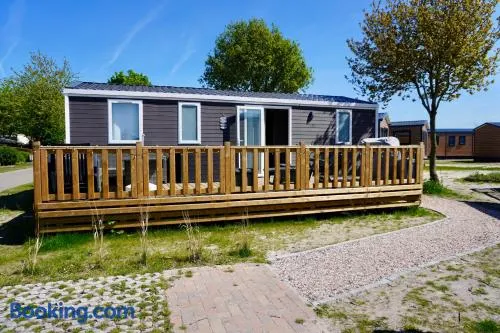Modern 6P Tiny SolHouse 6 - Near Groningen - Image 1