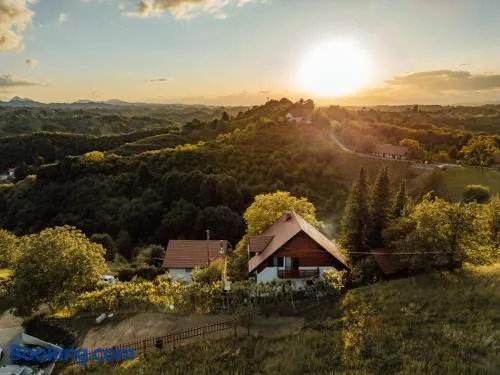 Cozy family place 'Hiša Grozdek' - Gruškovec 40A - Image 1