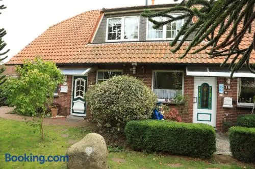 Vogelnest - Image 1