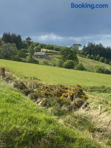 Alltachbeg - Image 1