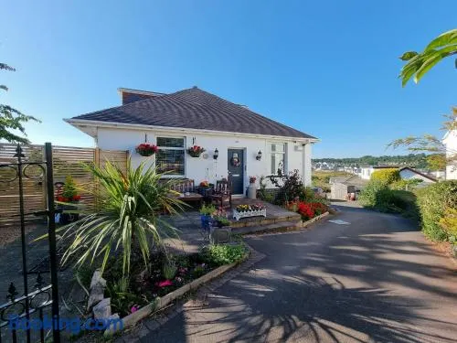 Lovely private studio room with own kitchen and bathroom. Set in the popular area of Shiphay in Torquay and only a short walk from Torbay Hospital - Image 1