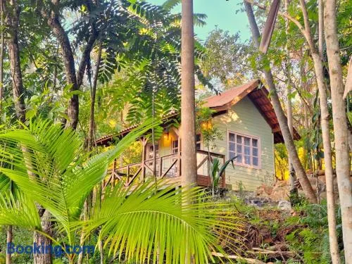 Morada João de Barro - Casinha - Image 1