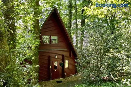 Peaceful Cowslip Lodge - Finlake Spa Resort in Devon - Image 1