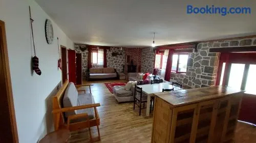 Vila genti - Image 1