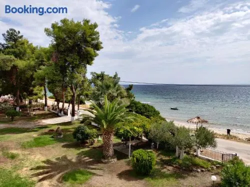 Entire Appartment 50m from sea - Spiros - Image 1