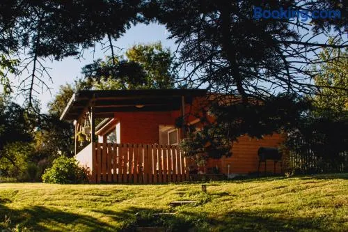 Statek ráj Netvořice, Tiny house and Farm Experience - Image 1