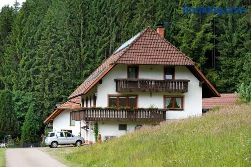 Appartamento con griglia e giardino | Vista sulla montagna | Perfetto per il lavoro da remoto - Image 1