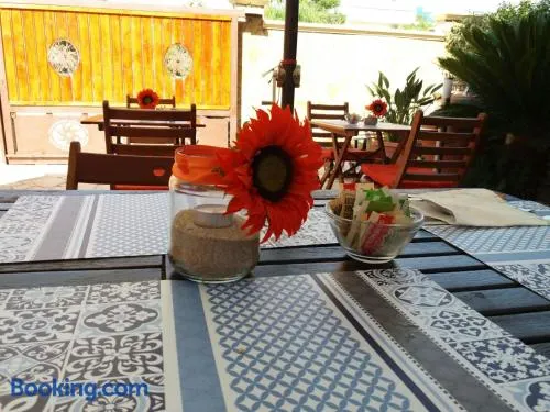 B&B LADY JOLANDA - Image 1