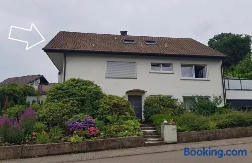 Schusters Murgtalblick - Image 1