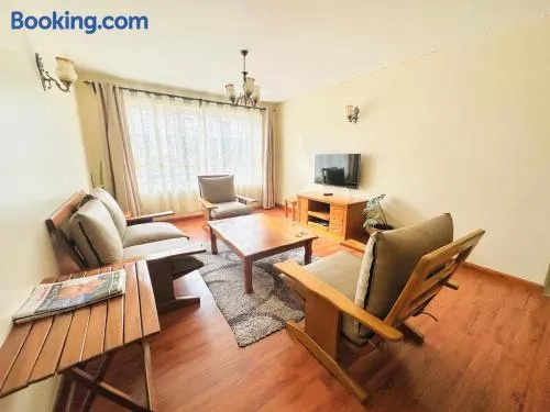 Nakuru Palace furnished apartment with pool milimani H1 - Image 1