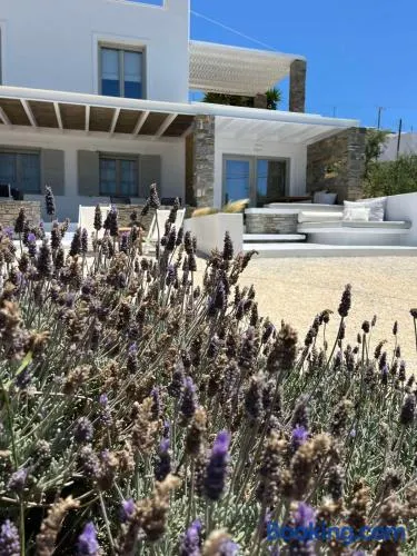 Neso seafront studio Paros - Image 1