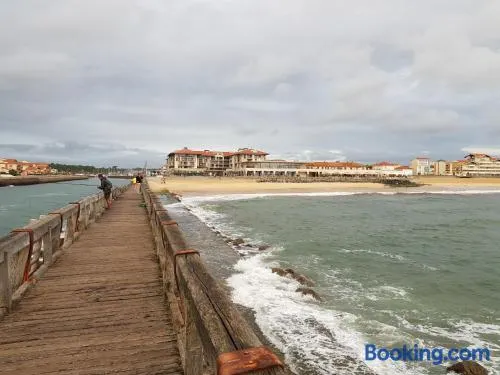 Appartement Capbreton, 2 pieces, 4 personnes - FR-1-247-118 - Image 1