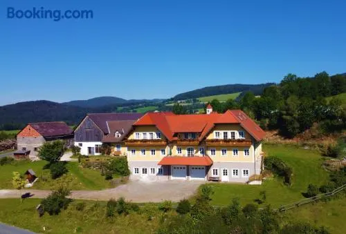 Biobauernhof Höllerbauer - Image 1
