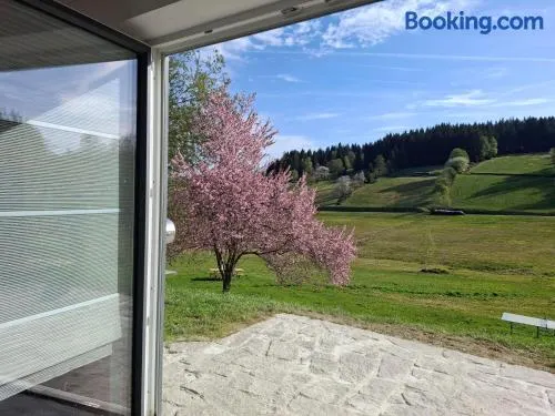 Ferienwohnung Anni AktivCARD 5 Personen Terrasse Bayerischer Wald - Image 1