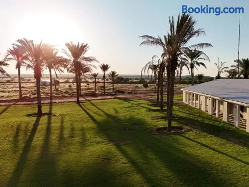 Flying Ostrich Guesthouse & Palmrest Farmstall - Image 1