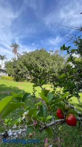 A Casa da lua - Image 1