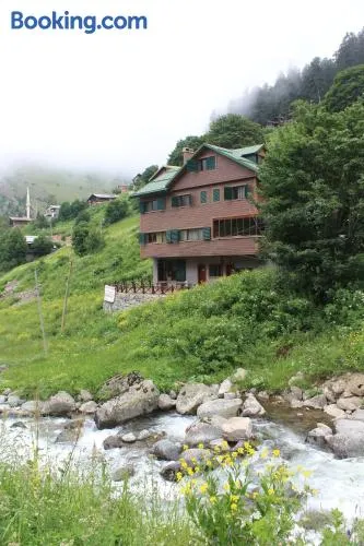 Yıldız Dagevi - Image 1