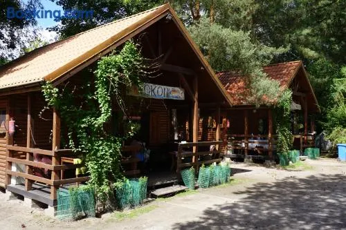 Ośrodek Azyl Mironice - Image 1