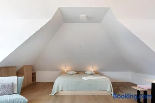 Ferienwohnung Hörnleberg - Image 1