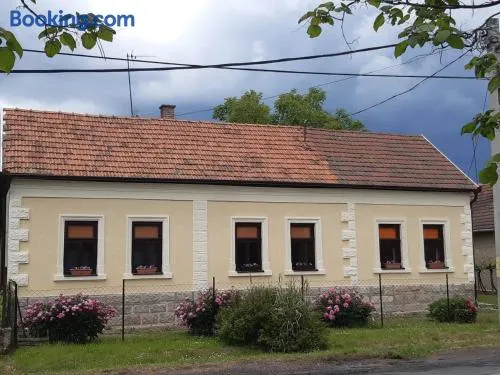 Szőlőskert Vendégház, Erdőbénye - Image 1