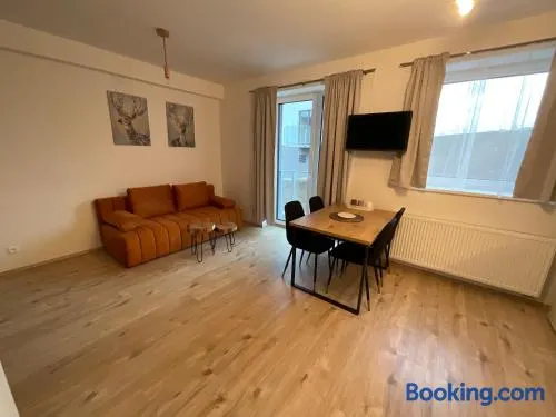 Útulný jednopokojový apartmán v alpském stylu na Klínovci - Image 1