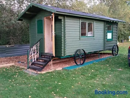 Cabin Dan - Image 1