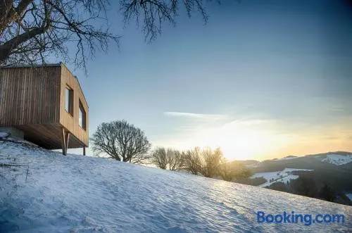 Ein Elsbeer Chalet Mitten in der Natur - Image 1