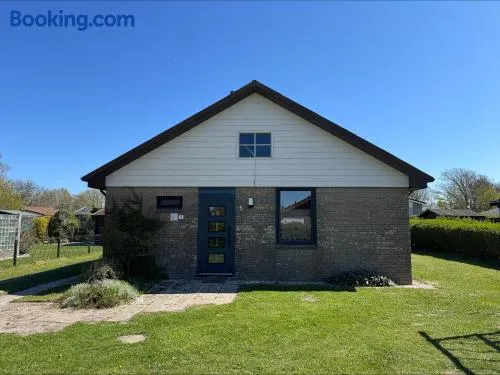 Bungalow Het Kleine klompje - Image 1