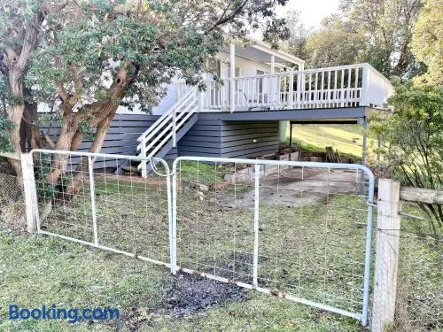 Ollie's Beach House - Image 1