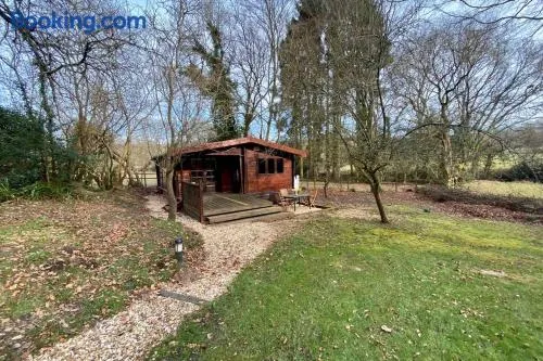 The Cabin at The Oaks - Image 1