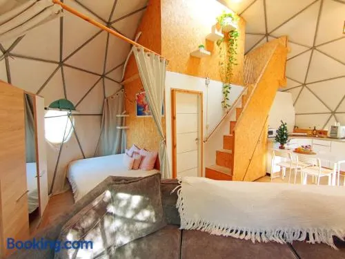 Olive Dome - כיפה גיאודזית ענקית ומודרנית בין עצי הזית - Image 1