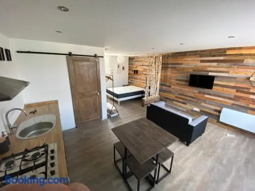Le nid de la Brenne - Image 1