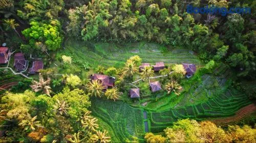 Oemah Tepi Sawah - Image 1