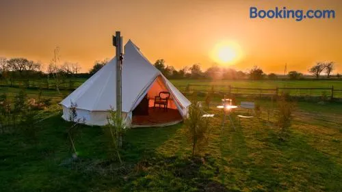 Witham Grange Glamping - Image 1