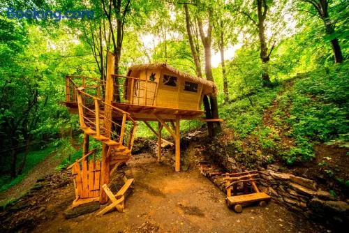 Treehouse pod Jestedem - Image 1