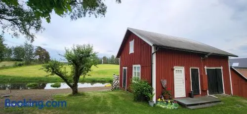 Country House surrounded by beautiful nature - Image 1