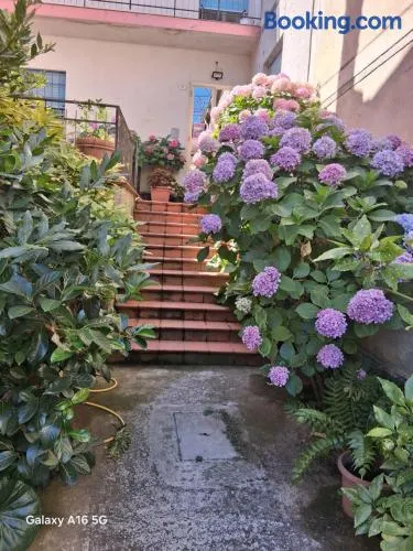 Le Ortensie - Image 1