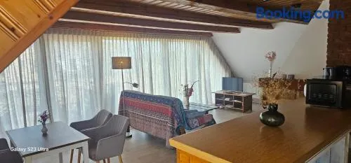 Fernblick - Image 1