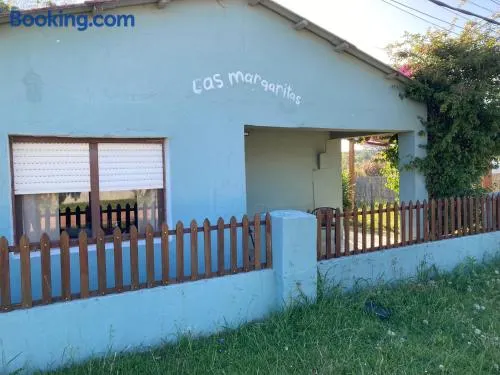 Las Margaritas - Image 1