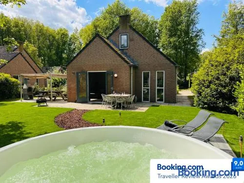 6pers Boshuis -Hottub Jacuzzi- 'De Groene Specht' - Image 1