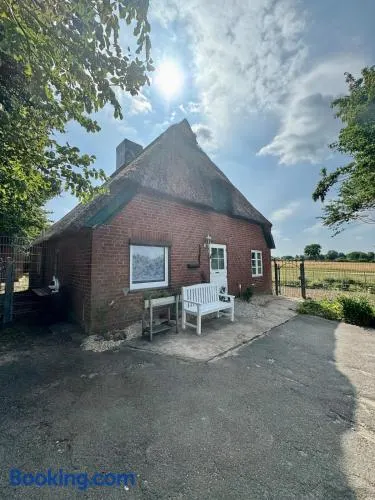 Casale adatto alle famiglie con giardino, sauna e barbecue | Vista sul giardino - Image 1