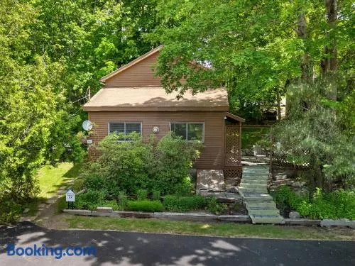 Alluring home with full kitchen, furnished patio, washer/dryer & private yard - Image 1