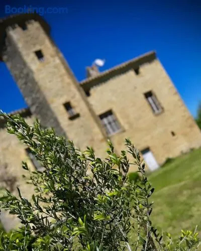 Le Domaine de Pépé - Image 1