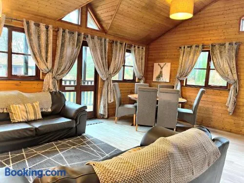 Goldcrest 1-Hot Tub-Woodland Lodges-Carmarthenshire-Tenby - Image 1
