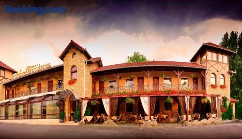 Hotel Transilvania - Image 1