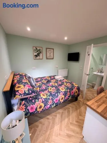 Clover Road Guest Suite - Image 1