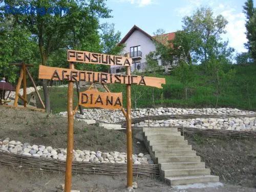Pensiunea Agroturistica Diana - Image 1